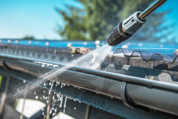 Best Roof Pressure Washing  in Walnut Hill, TN