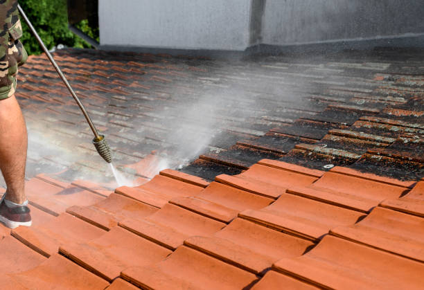 Best House Pressure Washing  in Walnut Hill, TN