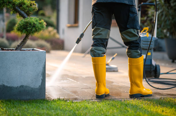 Best House Pressure Washing  in Walnut Hill, TN